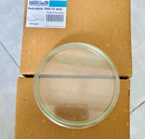 Đĩa petri thủy tinh 100/15mm- (Dinlab/ Wertlab)