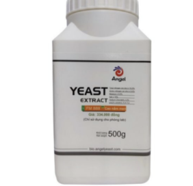 Cao nấm men FM888 ANGEL