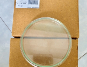 Đĩa petri thủy tinh 100/15mm- (Dinlab/ Wertlab)