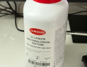 Môi trường Peptone bacteriological LP0037B,chai 500g (Oxoid)