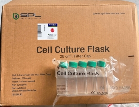 Flask Nuôi Cấy Tế Bào Cell Culture Flask with Filter Cap,PS, 25cm2, TC Treated, Sterile To SAL10-6 SPL 70025, 200 Cái/Thùng