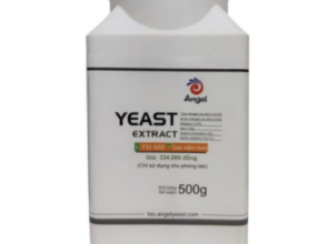 Cao nấm men FM888 ANGEL