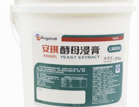 Yeast Extract LM800 ANGEL