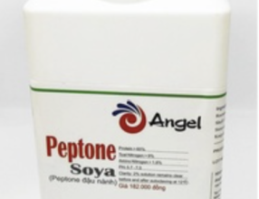 Bột Soy Peptone FP410 500g ANGEL
