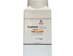 Môi trường trồng nấm tổng hợp MP300 ANGEL